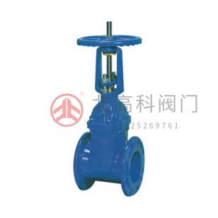 Z45X-10、Z45X-16 彈性座封閘閥